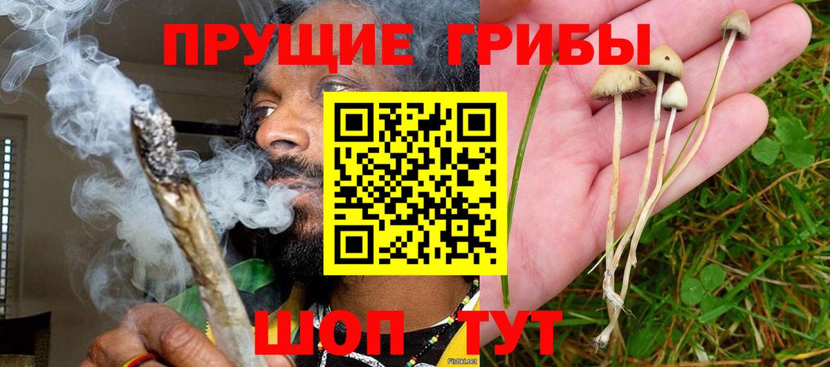 купить наркотик  Вход с VPN  Кирово-Чепецк  Псилоцибиновые грибы мицелий  Галлюциногенные грибы MAGIC MUSHROOMS 