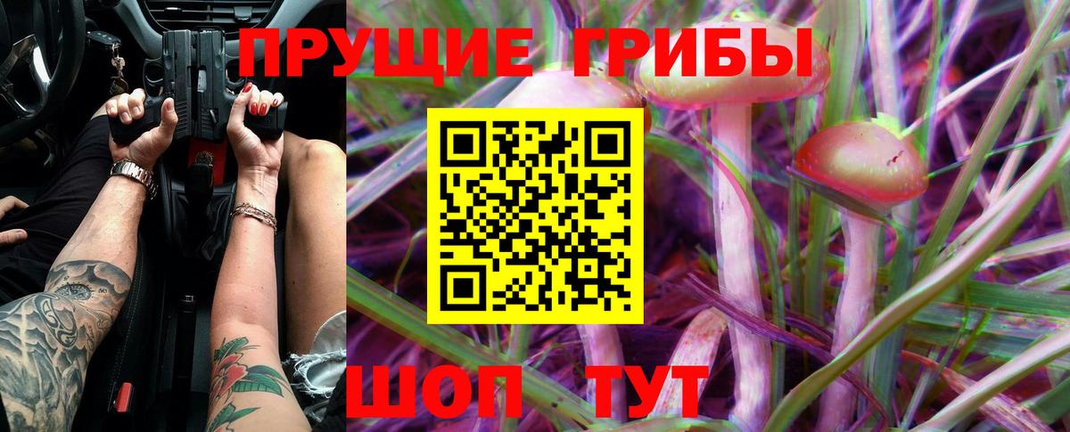 Псилоцибиновые грибы Psilocybine cubensis Кирово-Чепецк